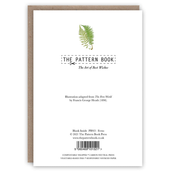 Ferns