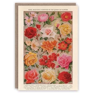 Vintage rose varieties greeting card