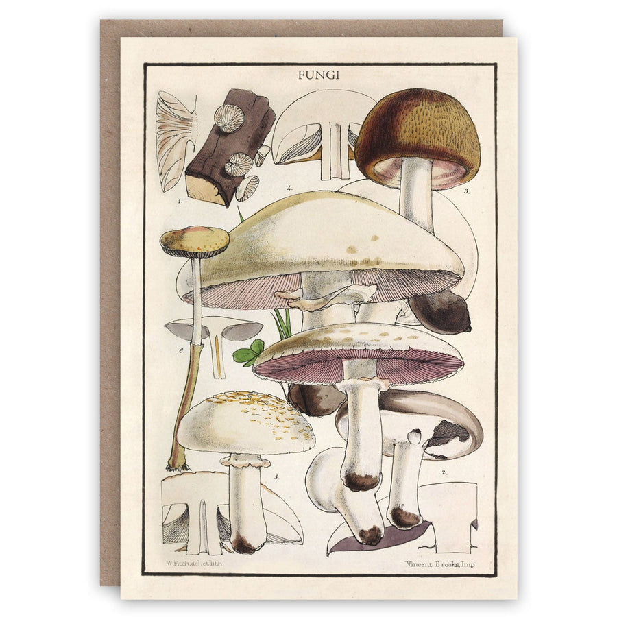 The Pattern Book: vintage-style greeting cards and stationery