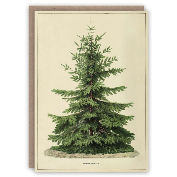 The Pattern Book Christmas Edit Set of 6