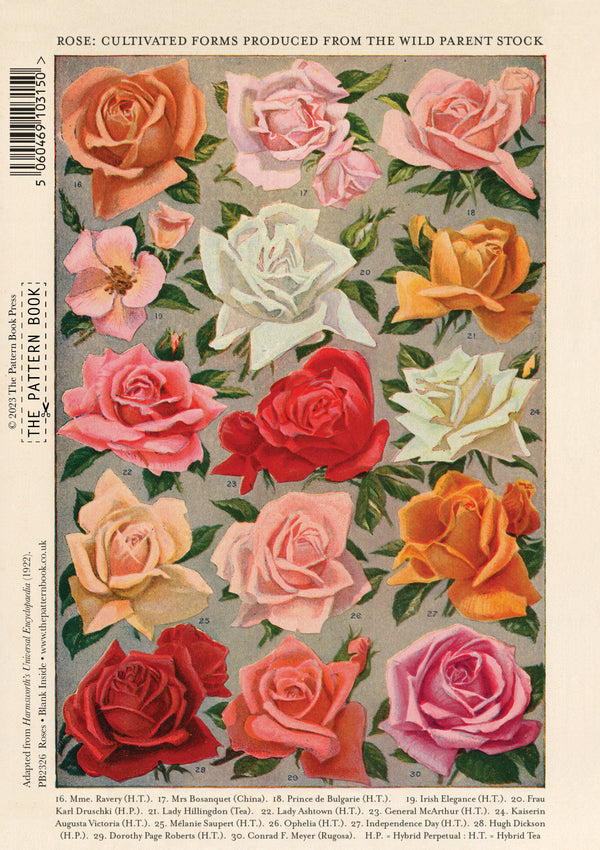 Flower Varieties – Set of Greeting Cards and Notecards