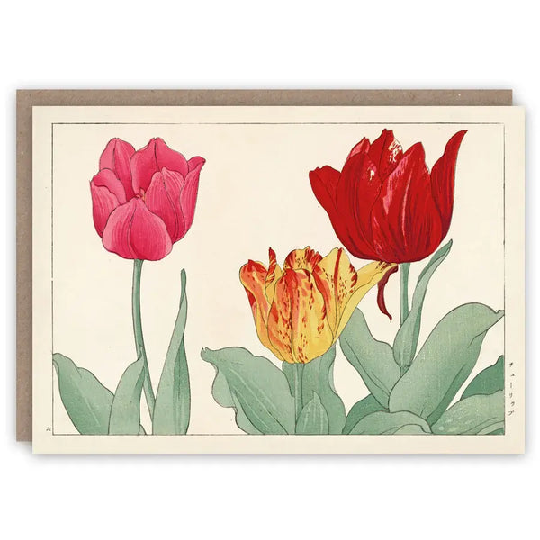 Flower Varieties – Set of Greeting Cards and Notecards