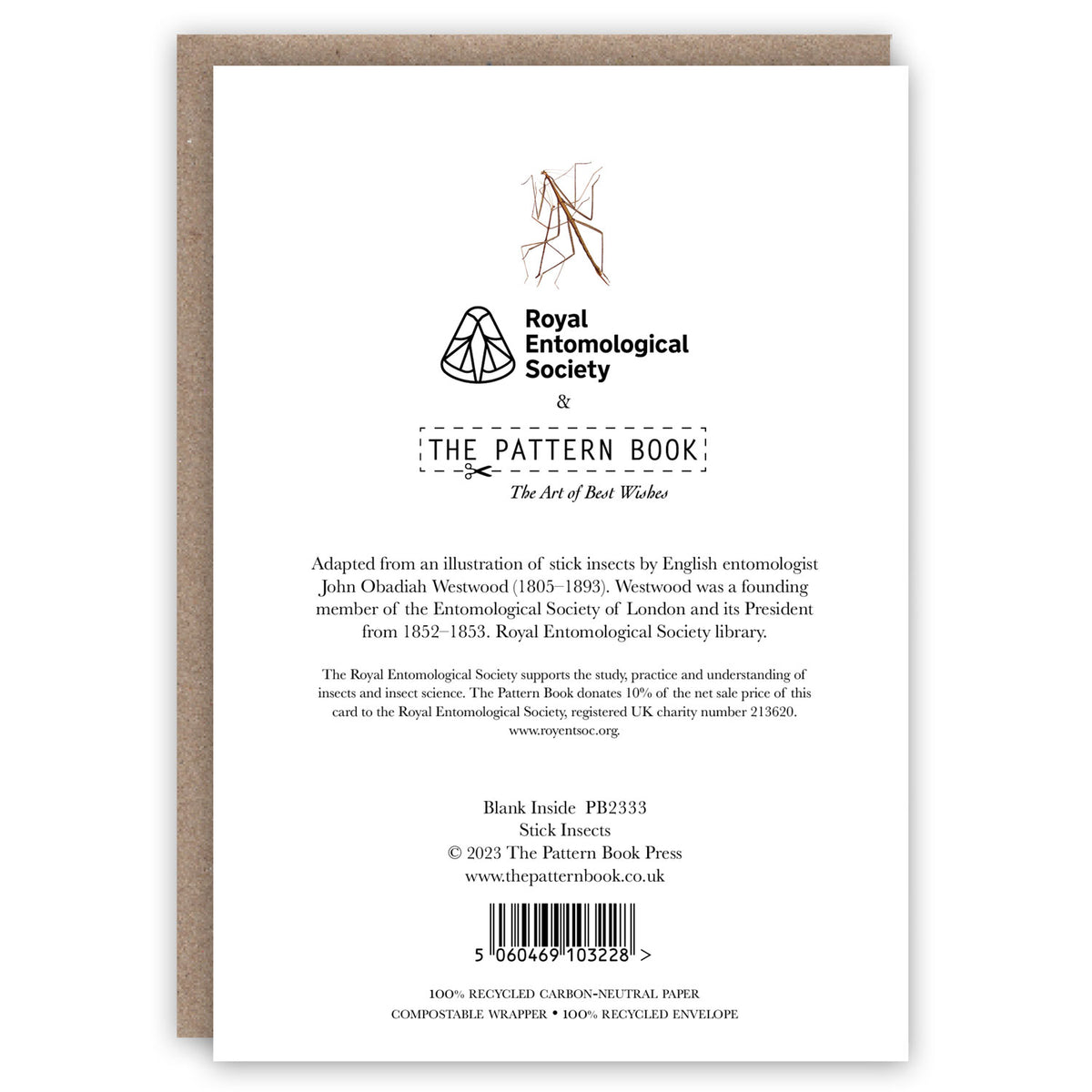 Stick Insect Pattern Stick Insects – The Pattern Book