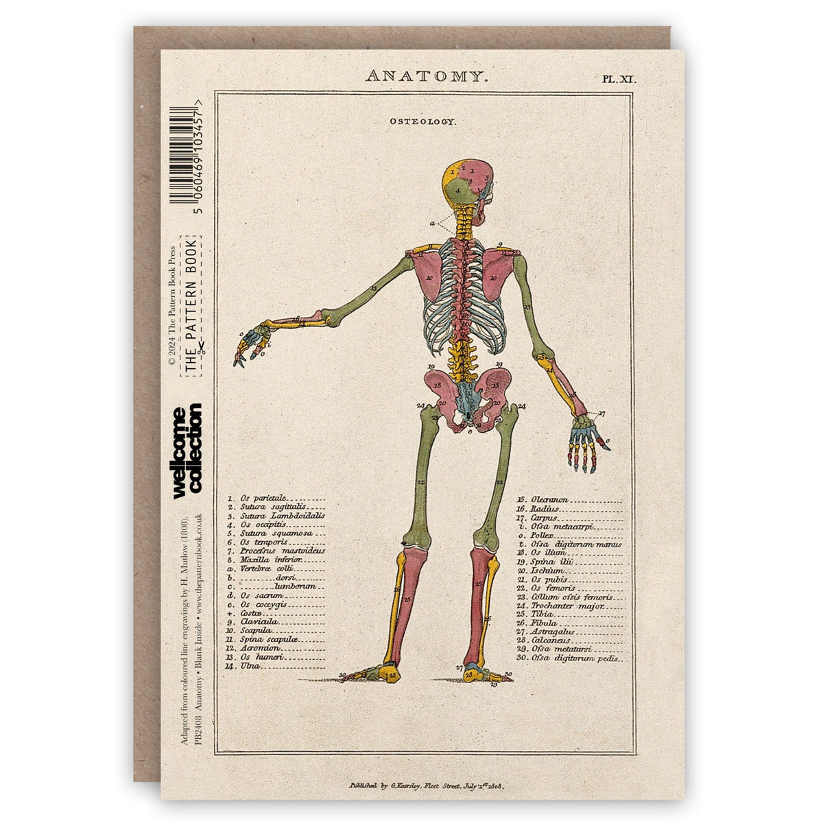 Anatomy – The Pattern Book