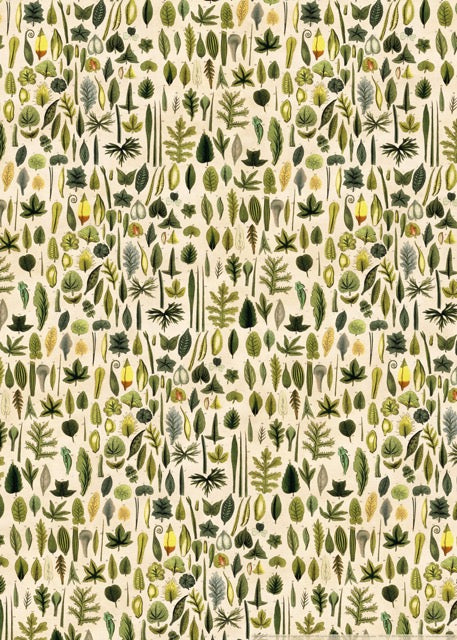 Plants, Trees & Botanicals – Greeting cards and gift wrap set