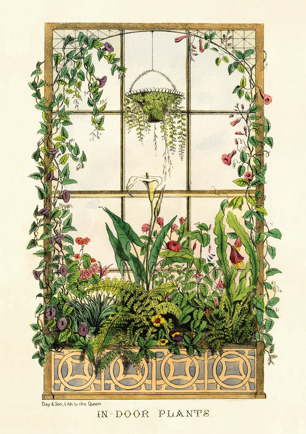 Plants, Trees & Botanicals – Greeting cards and gift wrap set