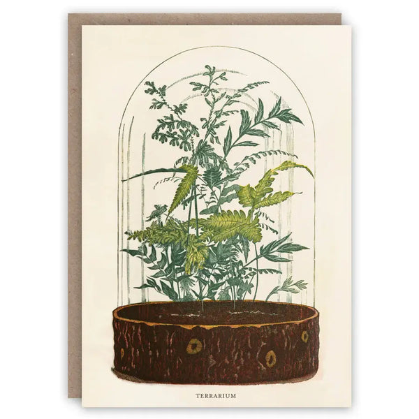Plants, Trees & Botanicals – Greeting cards and gift wrap set
