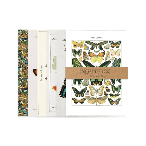 Paper Butterflies – Greeting Cards, Notecards and Gift Wrap Set