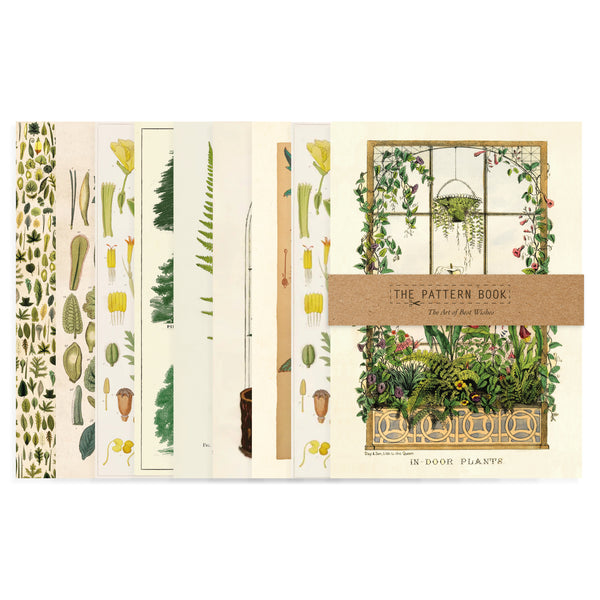 Plants, Trees & Botanicals – Greeting cards and gift wrap set