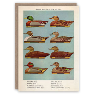 Greeting card illustrating different decoy ducks