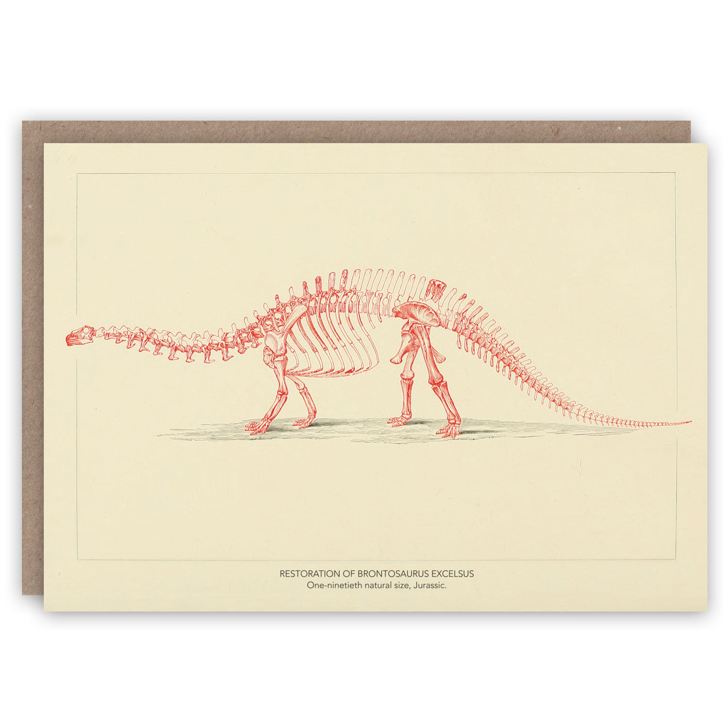 Bronatsaurus Chart Pattern Brontosaurus – The Pattern Book