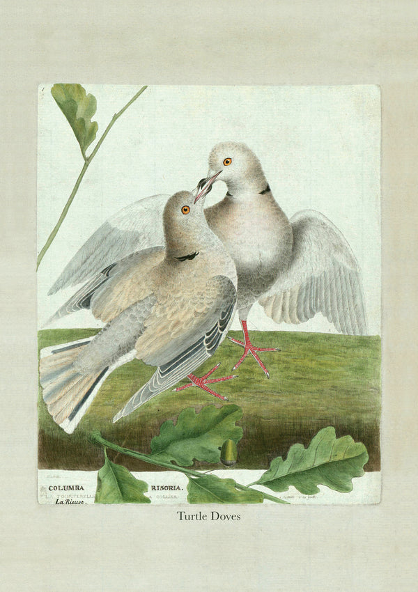 Just To Say... Bundle