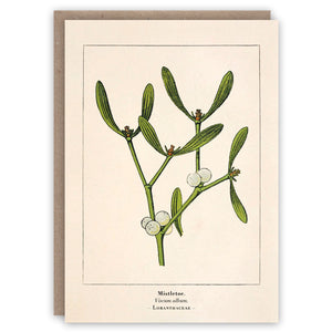 Mistletoe Christmas card