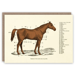 Greeting card with diagram showing the different parts of a horse