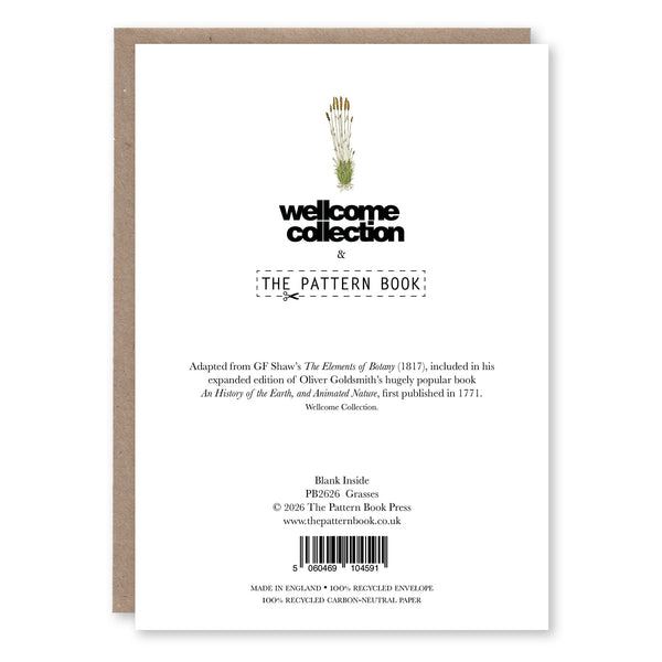 Back of Grasses greeting card showing product details and The Pattern Book branding
