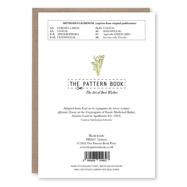Back of Lichens greeting card showing product details and The Pattern Book branding