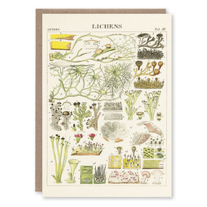 Greeting card with a botanical illustration of lichen species adapted from Antoine Fée's 1824 essay on exotic medicinal barks, Smithsonian Libraries