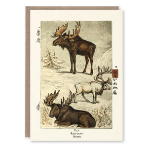 Christmas card with an illustration of elk, reindeer and moose adapted from a Chinese edition of Gosse's Introduction to Zoology, 1882
