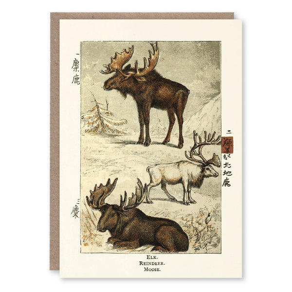 Christmas card with an illustration of elk, reindeer and moose adapted from a Chinese edition of Gosse's Introduction to Zoology, 1882