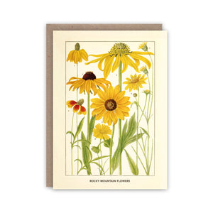 Note card illustrating Rocky Mountain wild flowers