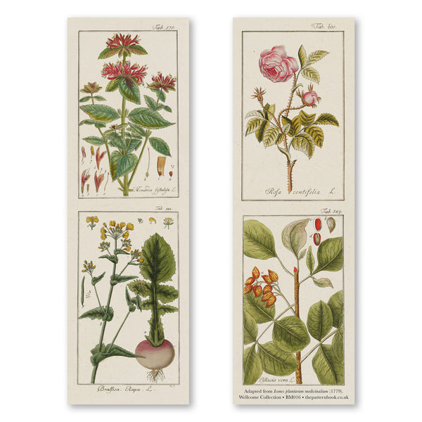 vintage style botanicals 1 bookmark  printed on recycled paper