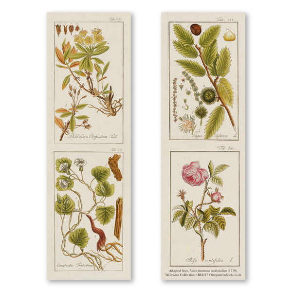 vintage style botanicals 2 bookmark printed on recycled paper