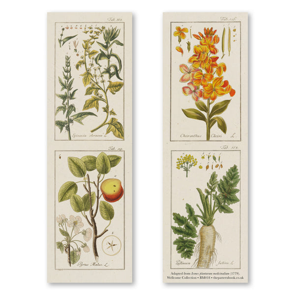vintage style botanicals 3 bookmark printed on recycled paper