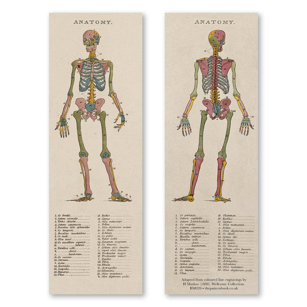 vintage style human anatomy bookmark printed on recycled paper