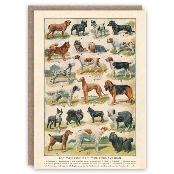 Dog Breeds* – The Pattern Book